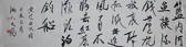 肖文飞 书法