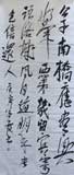 ϼ  鷨