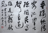 ѩ 鷨